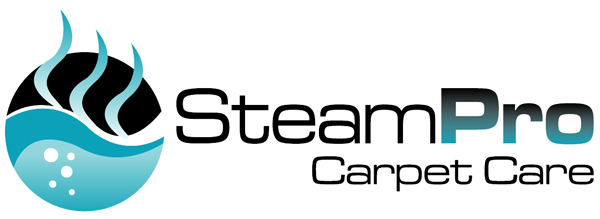 Steam Pro Carpet Care